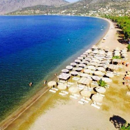 White Villa In Olive Trees And Seaview To Panagia อัลมิโรโปตามอส ภายนอก รูปภาพ