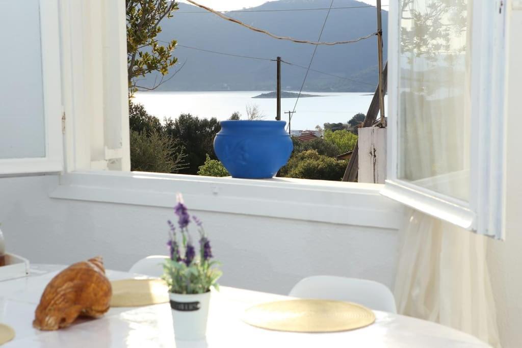 White Villa In Olive Trees And Seaview To Panagia อัลมิโรโปตามอส ภายนอก รูปภาพ