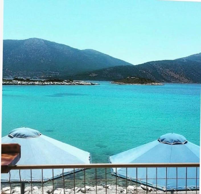 White Villa In Olive Trees And Seaview To Panagia อัลมิโรโปตามอส ภายนอก รูปภาพ