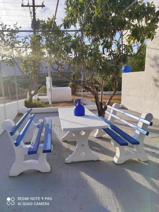 White Villa In Olive Trees And Seaview To Panagia อัลมิโรโปตามอส ภายนอก รูปภาพ