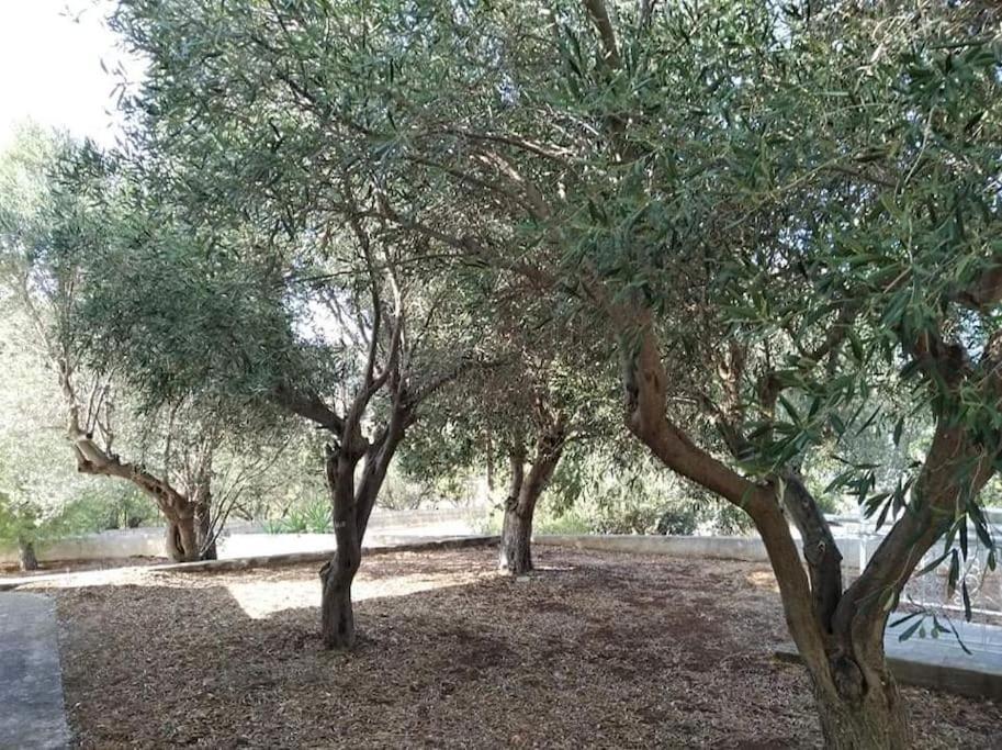 White Villa In Olive Trees And Seaview To Panagia อัลมิโรโปตามอส ภายนอก รูปภาพ