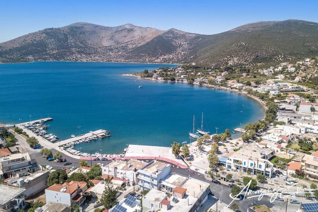 White Villa In Olive Trees And Seaview To Panagia อัลมิโรโปตามอส ภายนอก รูปภาพ
