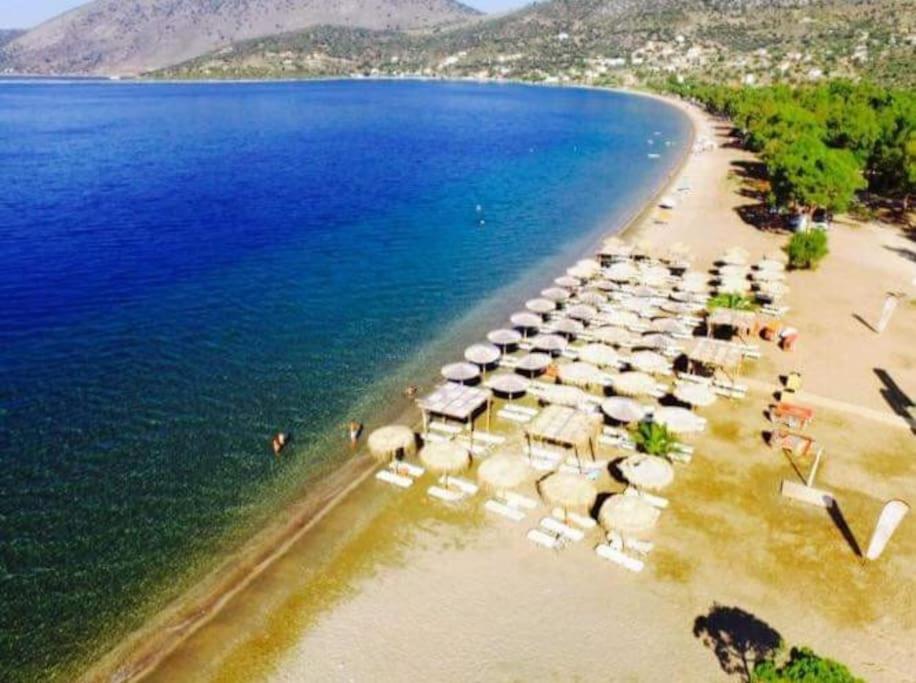 White Villa In Olive Trees And Seaview To Panagia อัลมิโรโปตามอส ภายนอก รูปภาพ
